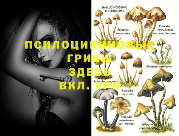 шишки Ростов
