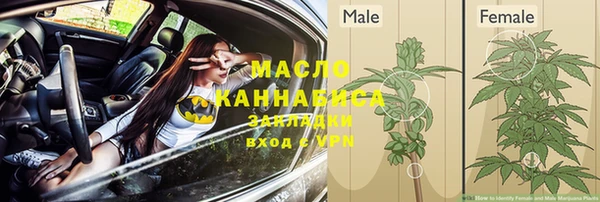 шишки Ростов