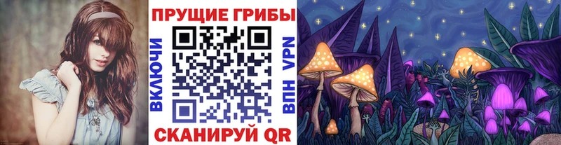 Купить  Плавск  Галлюциногенные грибы Psilocybe 